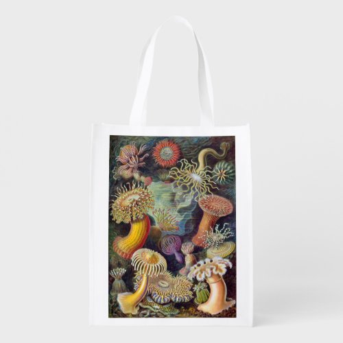 Vintage Underwater Sea Anemones by Ernst Haeckel Grocery Bag