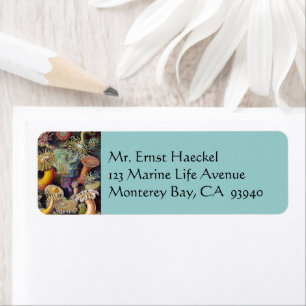 Vintage Underwater Sea Anemones by Ernst Haeckel Label