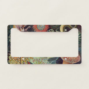 Vintage Underwater Sea Anemones by Ernst Haeckel License Plate Frame