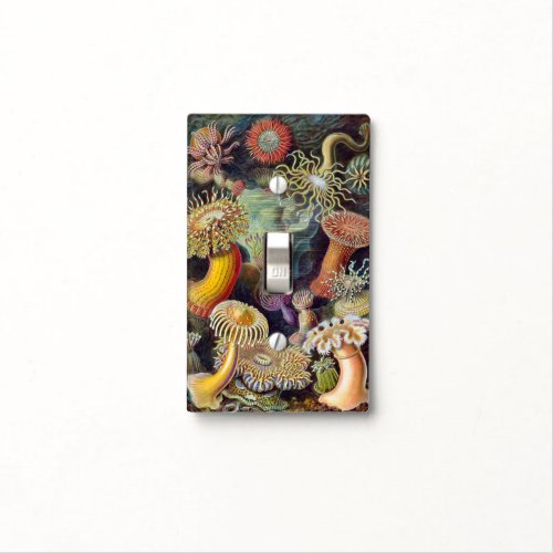 Vintage Underwater Sea Anemones by Ernst Haeckel Light Switch Cover