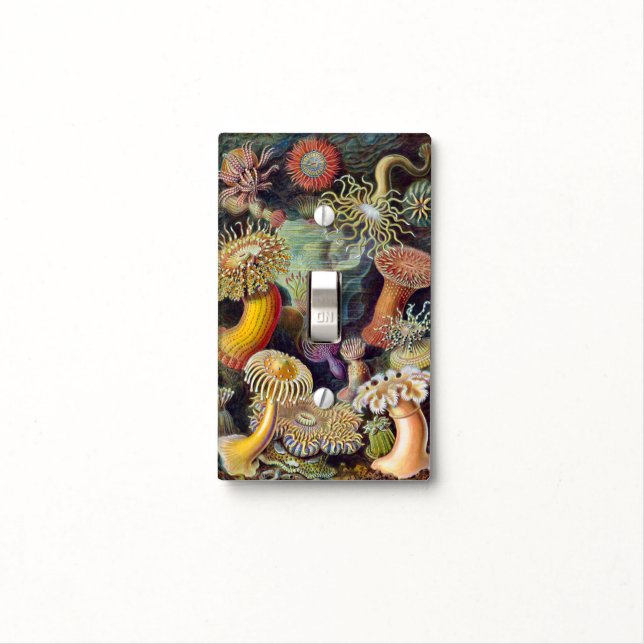 Vintage Underwater Sea Anemones by Ernst Haeckel Light Switch Cover (In Situ)