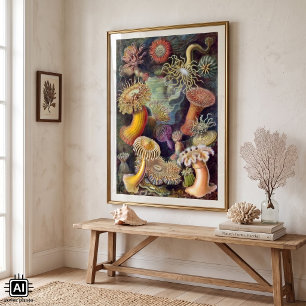 Vintage Underwater Sea Anemones by Ernst Haeckel Poster