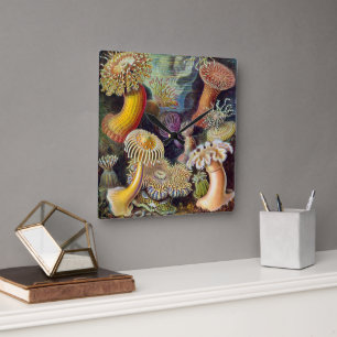 Vintage Underwater Sea Anemones by Ernst Haeckel Square Wall Clock