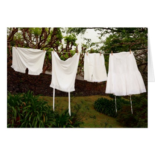 Vintage underwear laundry cards (Front Horizontal)