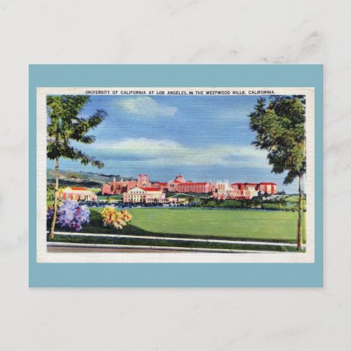 Vintage University of California Westwood Hills Postcard
