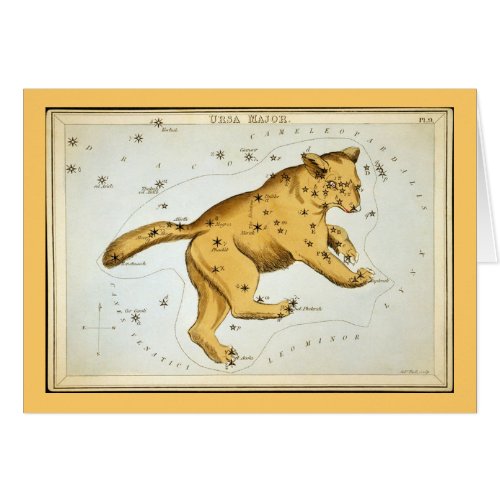 Vintage Ursa Major Bear