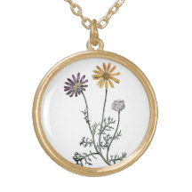 Vintage Ursinia Anthemoides Solar Fire Botanical