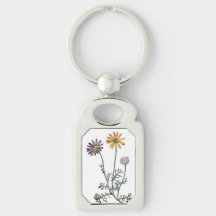 Vintage Ursinia Anthemoides Solar Fire Botanical K