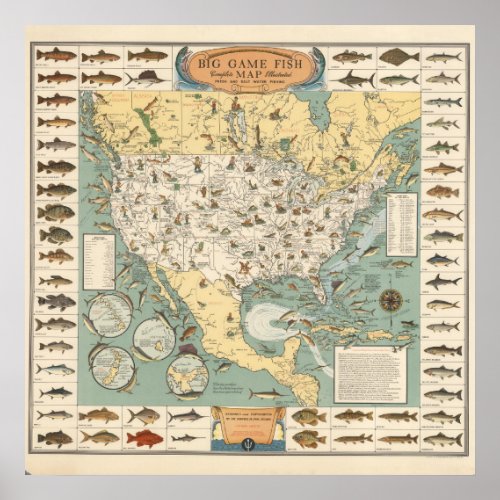 Vintage US Fish Map Poster