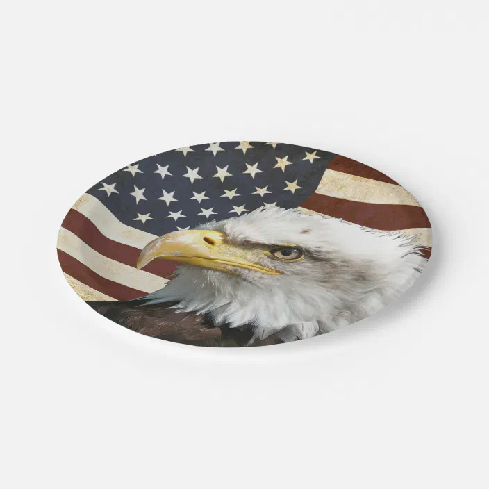 Eagle Painting American Decor Eagle Painting Serving Plate American Flag Eagle Decoration Painted in USA 4th July Plates USA Flag