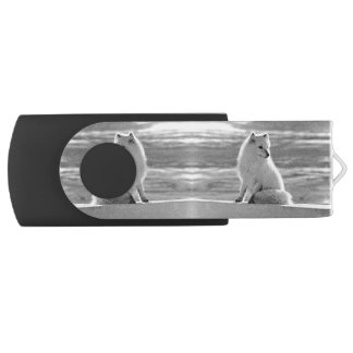 Vintage USA Alaska Arctic fox Flash Drive