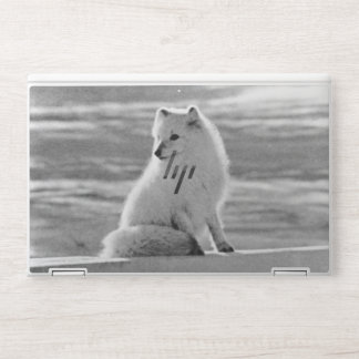 Vintage USA Alaska Arctic fox HP Laptop Skin