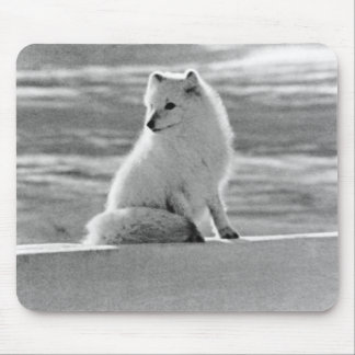 Vintage USA Alaska Arctic fox Mouse Pad