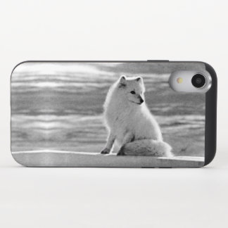 Vintage USA Alaska Arctic fox iPhone XR Slider Case