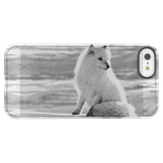 Vintage USA Alaska Arctic fox Permafrost iPhone SE/5/5s Case