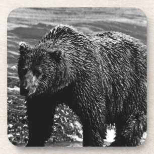 Vintage USA Alaska brown bear Beverage Coaster
