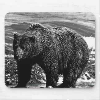 Vintage USA Alaska brown bear Case-Mate iPhone Cas Mouse Pad