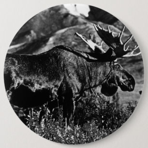 Vintage USA Alaska bull moose Button