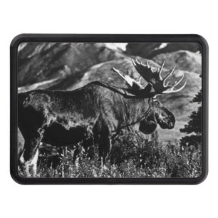 Vintage USA Alaska bull moose Case-Mate iPhone Cas Hitch Cover