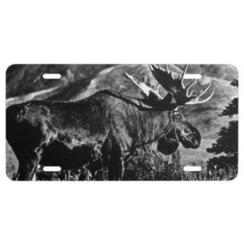 Vintage USA Alaska bull moose Case_Mate iPhone Cas License Plate