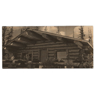 Vintage USA Alaska Modern alaskan log cabin Case-M Wood Flash Drive