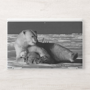 Vintage USA Alaska mother polar bear 1970 iPad Sma HP Laptop Skin