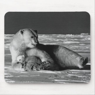 Vintage USA Alaska mother polar bear 1970 iPad Sma Mouse Pad