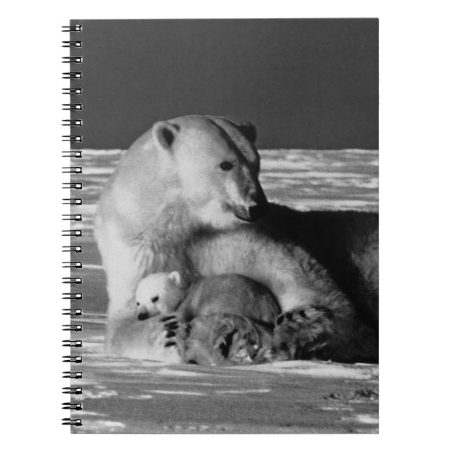 Vintage USA Alaska mother polar bear 1970 Notebook (Front)