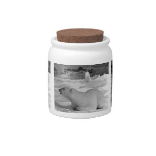 Vintage USA Alaska polar bear 1970 Candy Jar