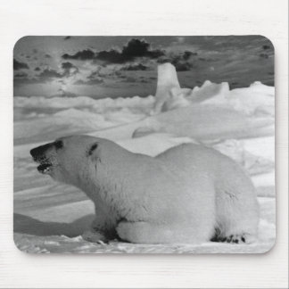 Vintage USA Alaska polar bear Case-Mate iPhone Cas Mouse Pad