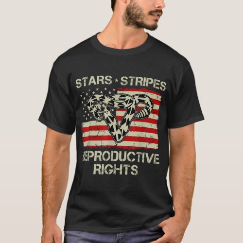 Vintage USA Flag Uterus Stars Stripes Reproductive T_Shirt