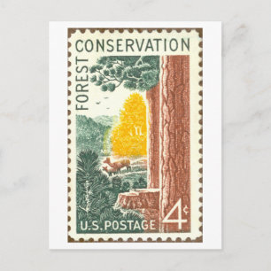 Vintage USA Forest Conservation Postage Stamp Postcard