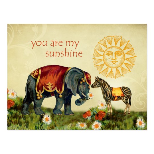 Vintage Valentine Animals in Love Postcard