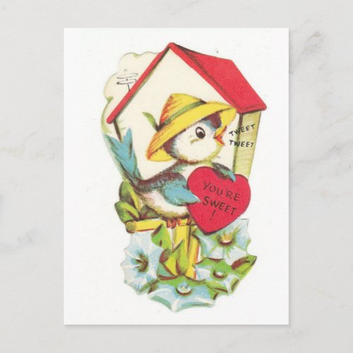 Vintage Valentine Bird House Holiday Postcard