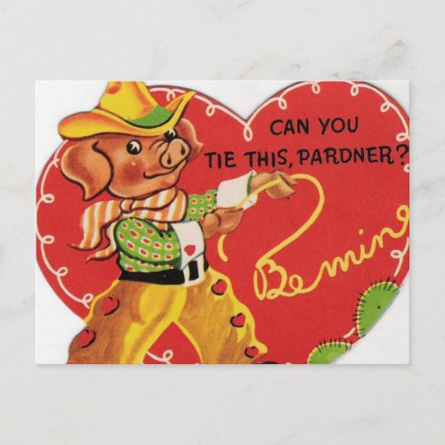 Vintage Valentine Cowboy Hog Holiday Postcard