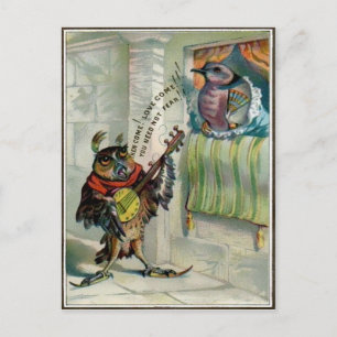 Vintage Valentine Owl Postcard