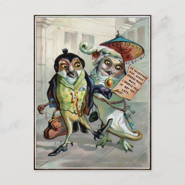 Vintage Valentine Owls Postcard (Front)