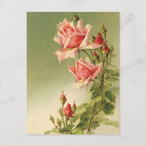 Vintage Valentines Day Pink Victorian Garden Rose Holiday Postcard