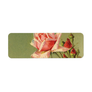 Vintage Valentine's Day Pink Victorian Garden Rose Label