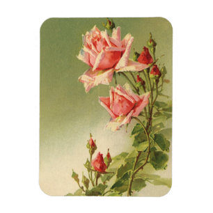 Vintage Valentine's Day Pink Victorian Garden Rose Magnet