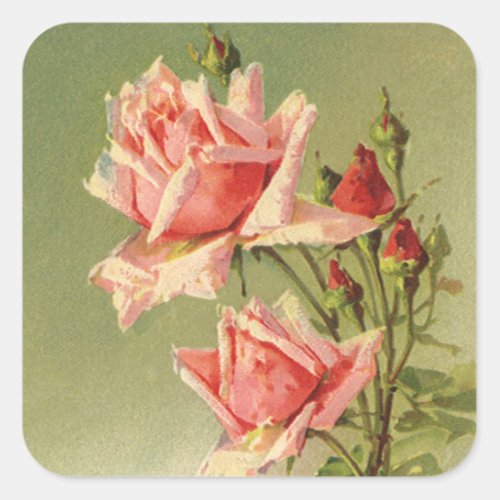 Vintage Valentines Day Pink Victorian Garden Rose Square Sticker