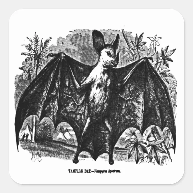 Vintage Vampire Bat Sticker | Zazzle