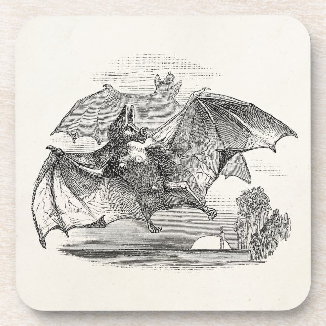 Vintage Vampire Bats Personalized Retro Bats Beverage Coaster (Front)