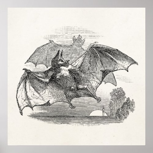Vintage Vampire Bats Personalized Retro Bats Poster