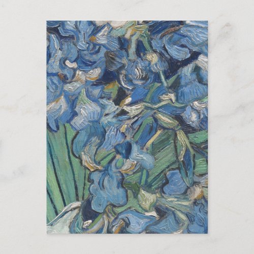 Vintage Van Gogh Irises Postcard