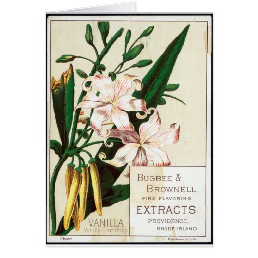 Vintage Vanilla Cards (Front)