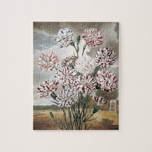 Vintage Variegated Carnation Flowers with Gray Sky Jigsaw Puzzle