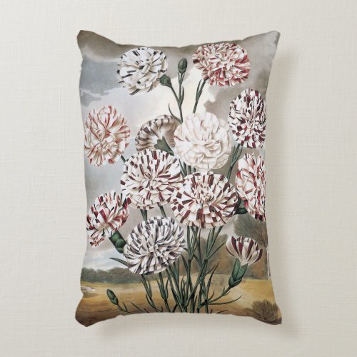 Vintage Variegated Carnation Flowers with Grey Sky Accent Pillow