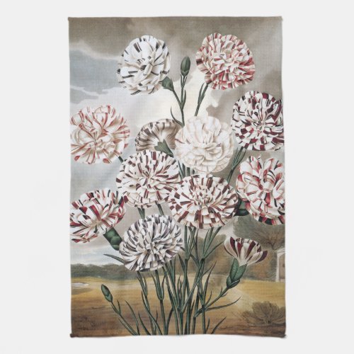 Vintage Variegated Carnation Flowers with Grey Sky Kitchen Towel