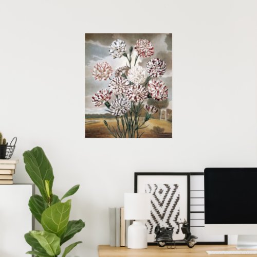 Vintage Variegated Carnation Flowers with Grey Sky Poster